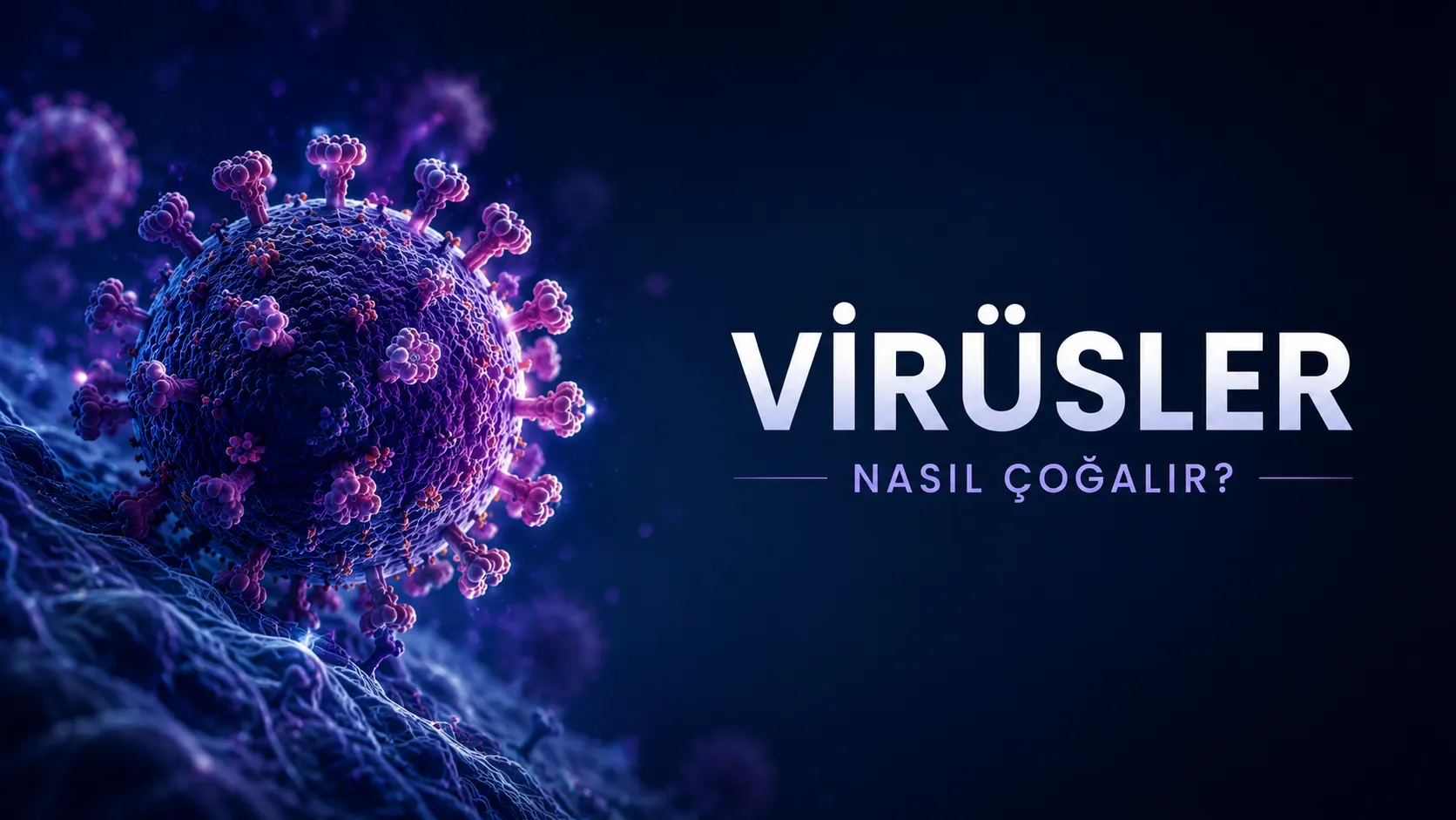 Virüsler Nasıl Çoğalır? Virüslerin Yaşam Döngüsü Nasıl İşler? kapak görseli